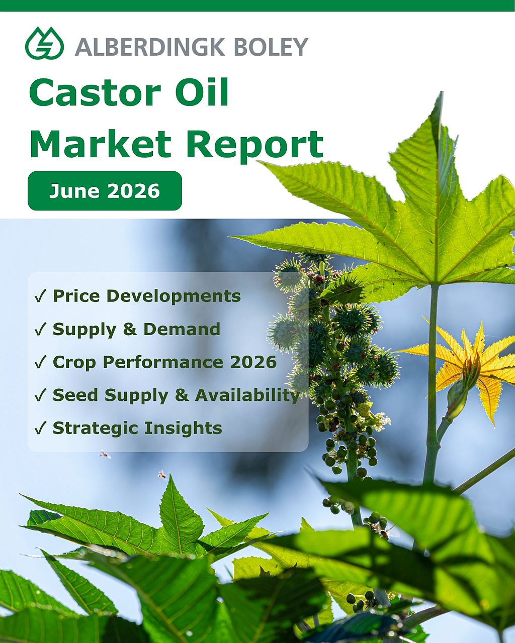 Market Report